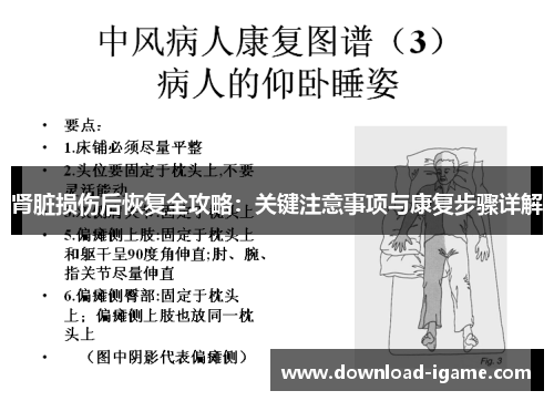 肾脏损伤后恢复全攻略：关键注意事项与康复步骤详解